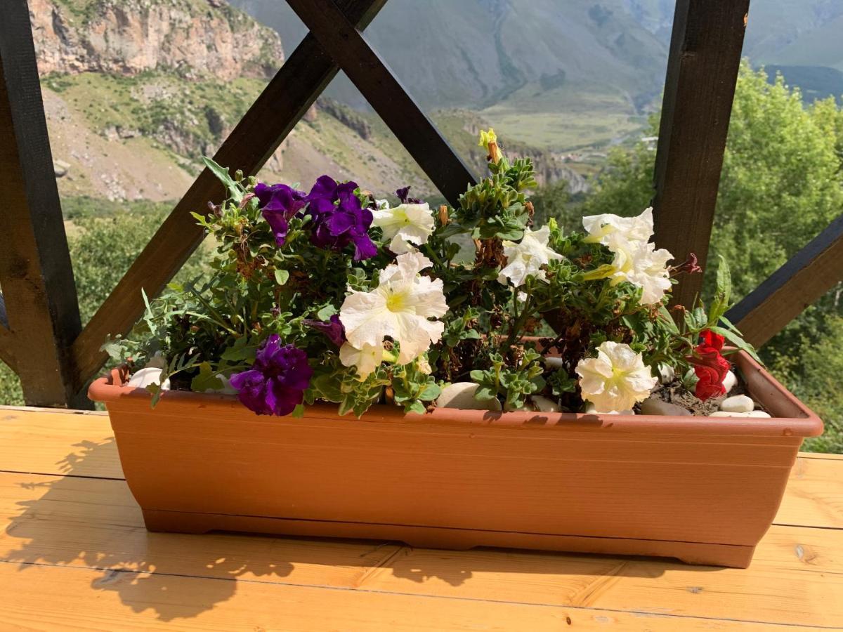 View Villa Kazbegi Kültér fotó
